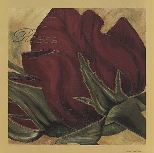 EIn Bild einer roten Rose, von Heidi Gerstner.