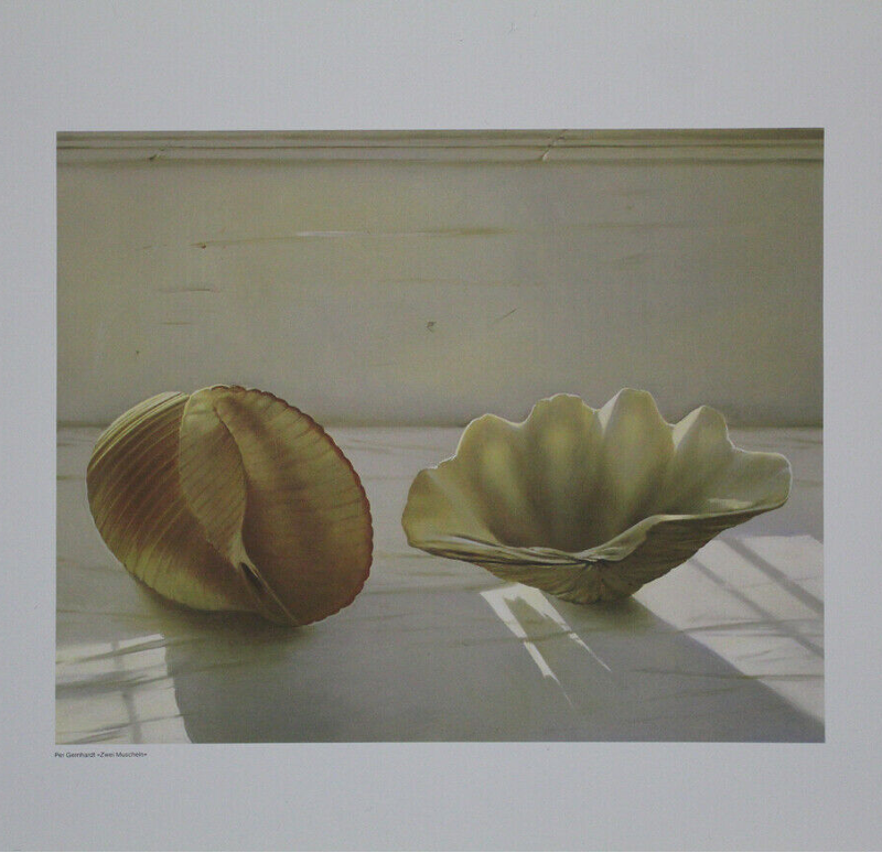 Two Shells