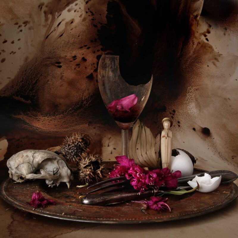 Natura Morte 2